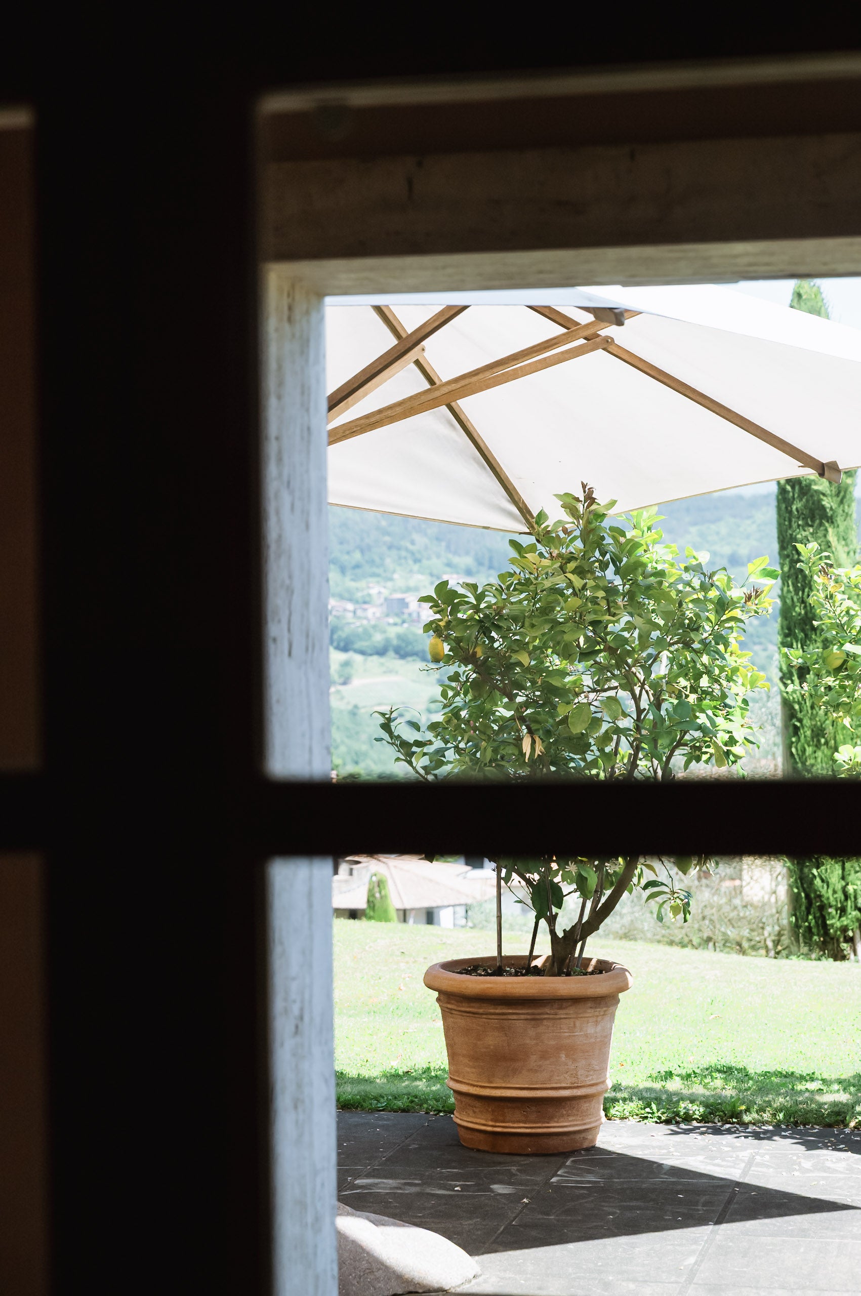 ,ido-dei-venti-domaine-detail-vue-dehors-terrasse-citronier-et-cipres