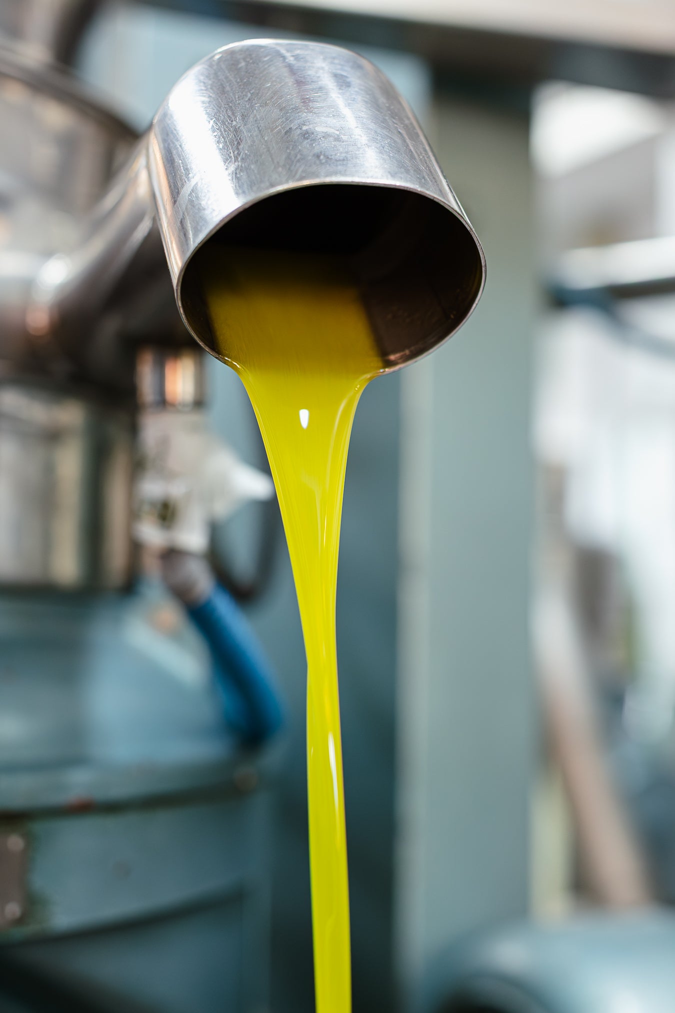 Extra Virgin Olive Oil