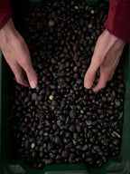 Huile d'Olive Extra Vierge