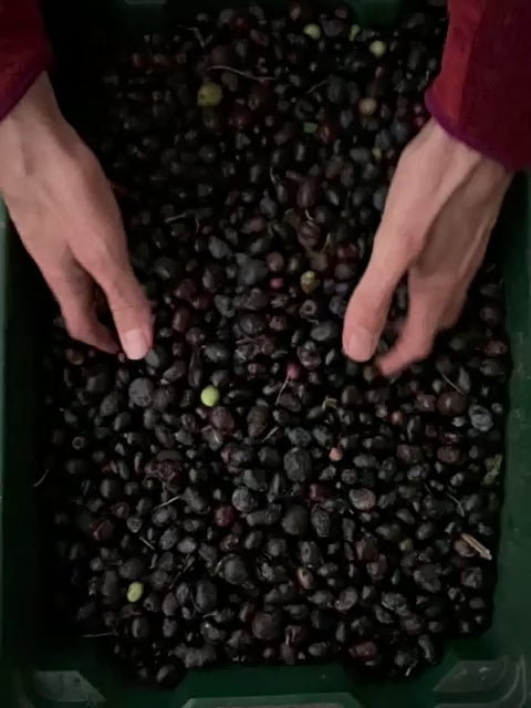 Extra Virgin Olive Oil